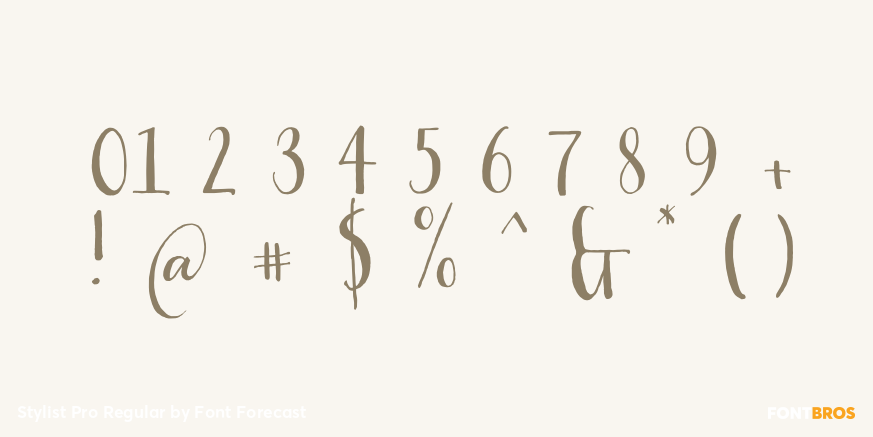 Stylist Pro Regular Font Poster #4