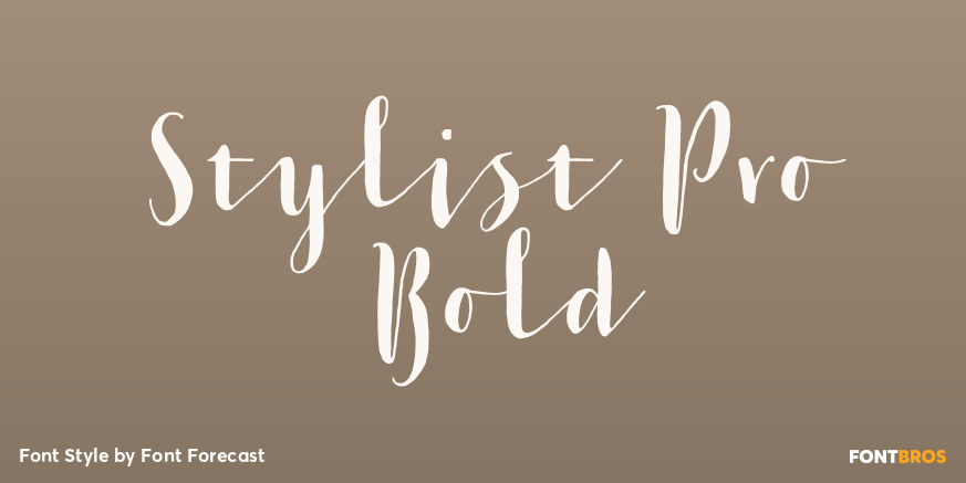 Stylist Pro Bold Font Poster #1