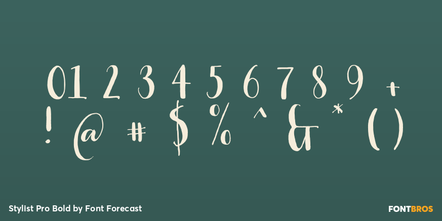 Stylist Pro Bold Font Poster #1