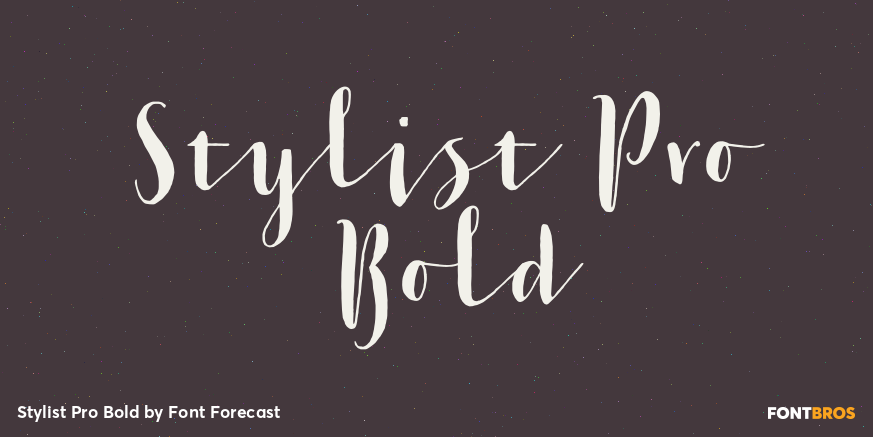 Stylist Pro Bold Font Poster #1