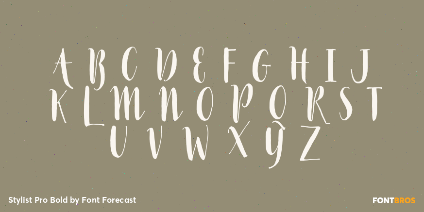 Stylist Pro Bold Font Poster #2