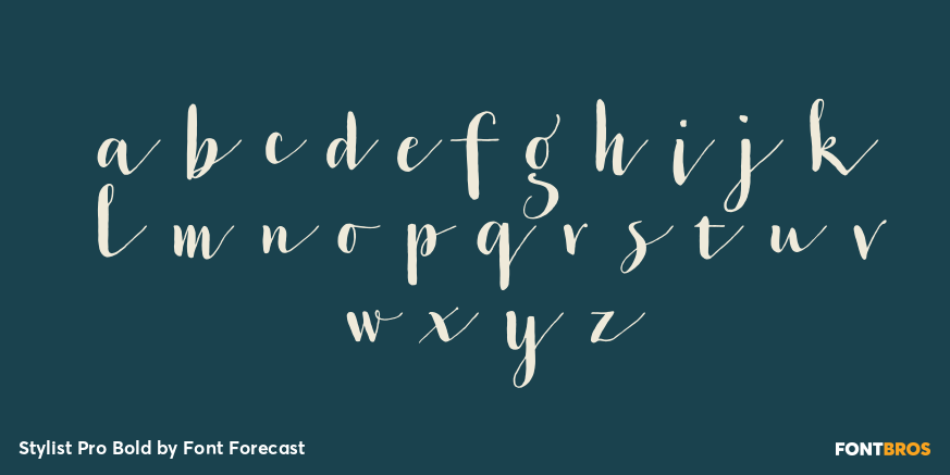 Stylist Pro Bold Font Poster #3