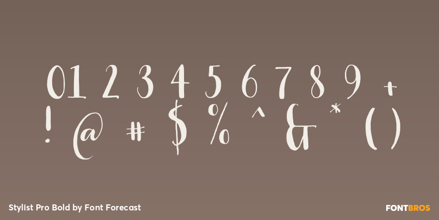 Stylist Pro Bold Font Poster #4