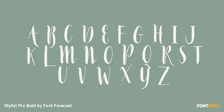 Stylist Pro Bold Font Poster #1