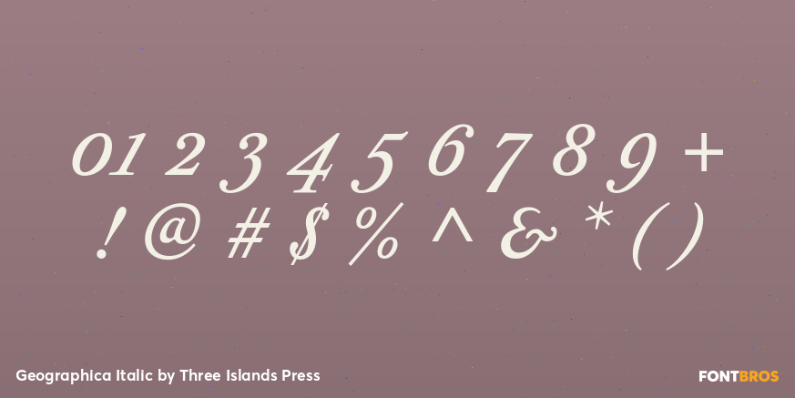 Geographica Italic Font Poster #4