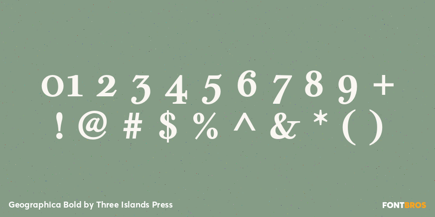 Geographica Bold Font Poster #4