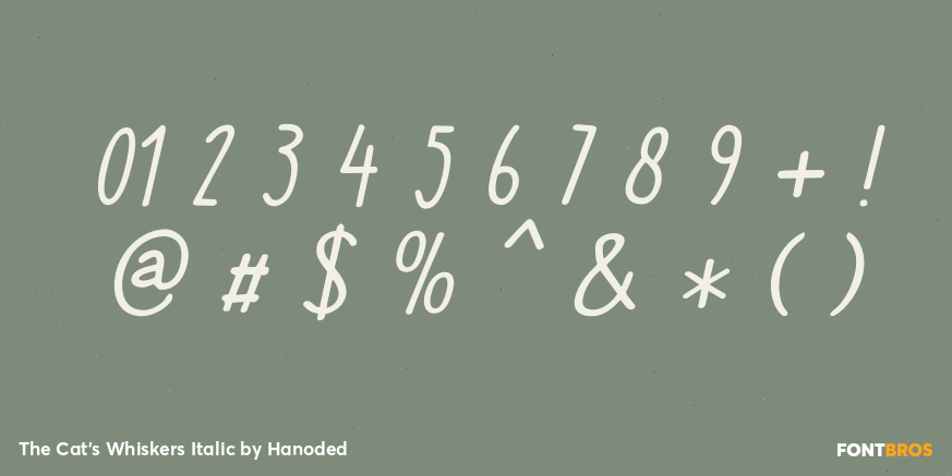 The Cat's Whiskers Italic Font Poster #1