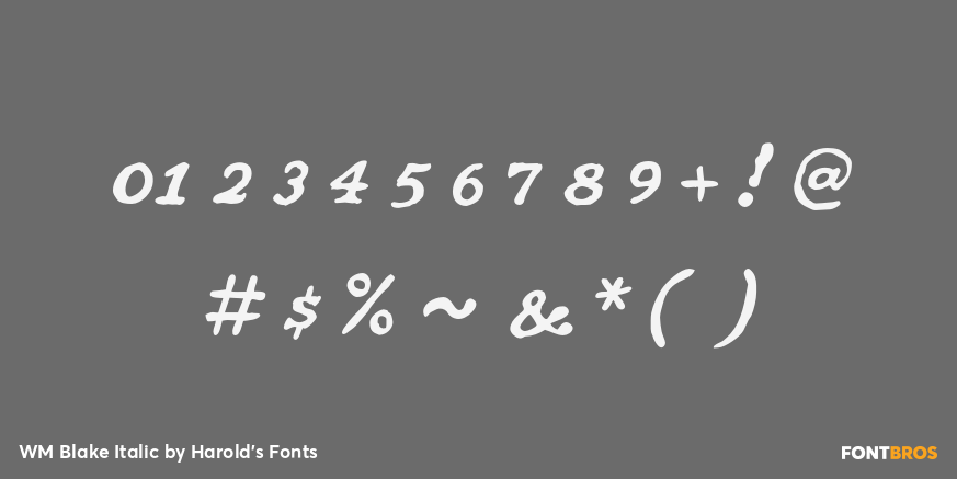 WM Blake Italic Font Poster #4