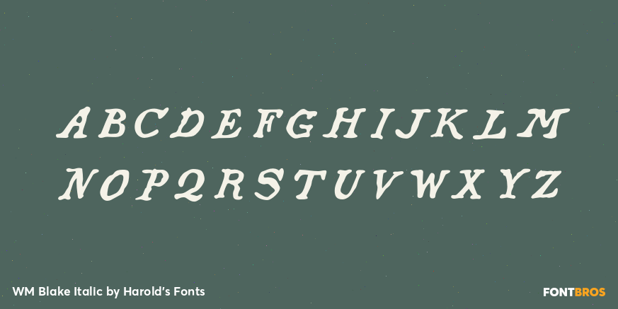 WM Blake Italic Font Poster #2