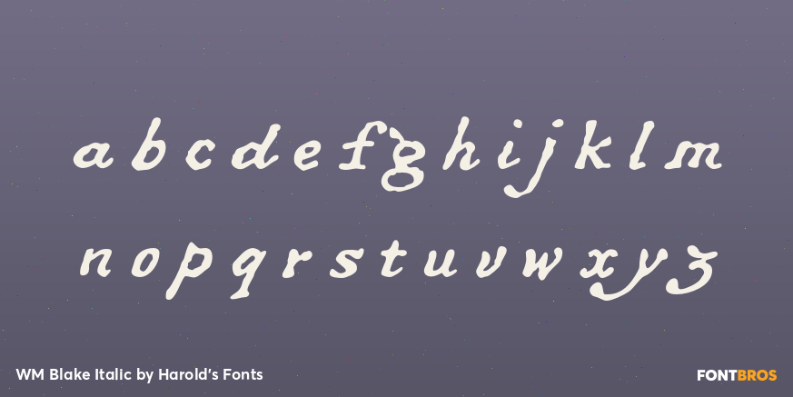 WM Blake Italic Font Poster #3