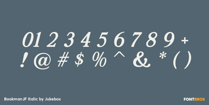 BookmanJF Italic Font Poster #4