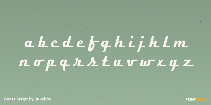 Boxer Script Font Poster #3