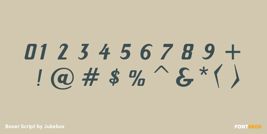 Boxer Script Font Poster #4