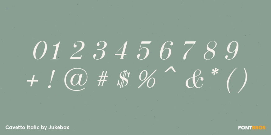 Cavetto Italic Font Poster #4