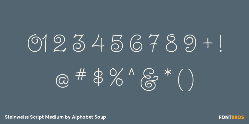 Steinweiss Script Medium Font Poster #4