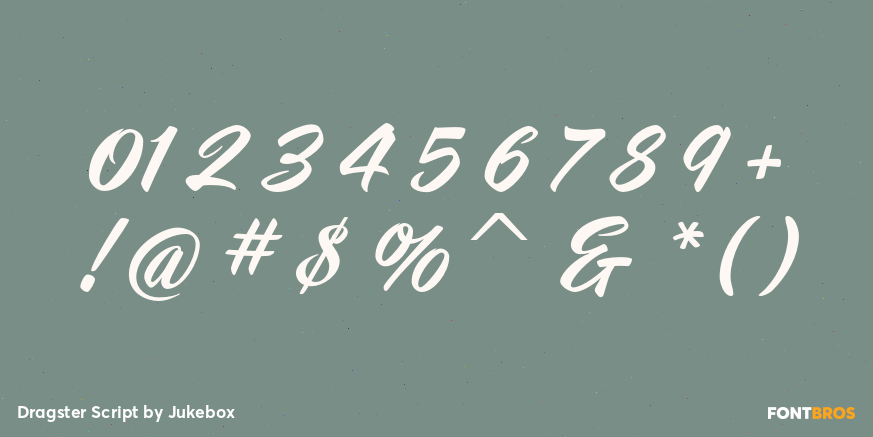 Dragster Script Font Poster #4