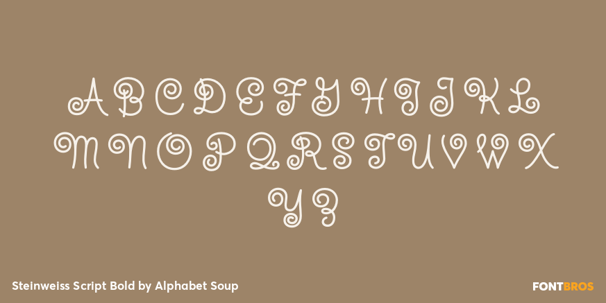 Steinweiss Script Bold Font Poster #2