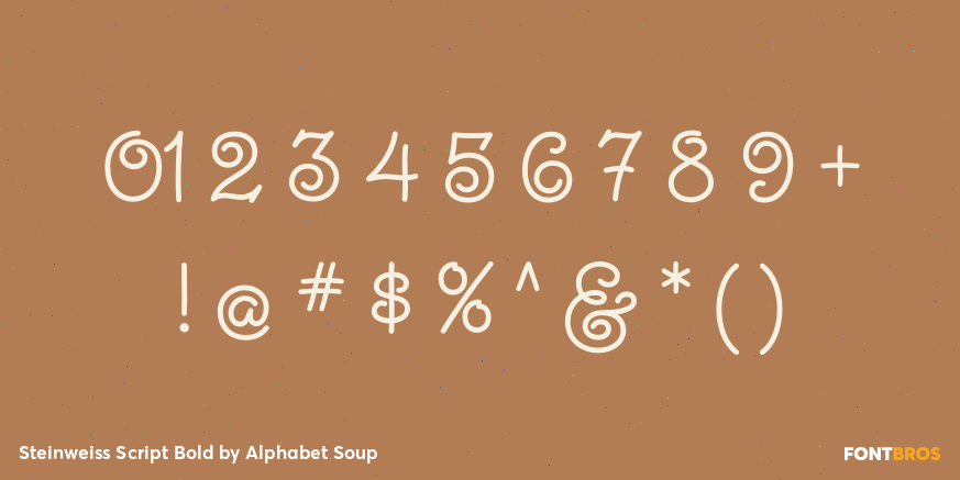 Steinweiss Script Bold Font Poster #4