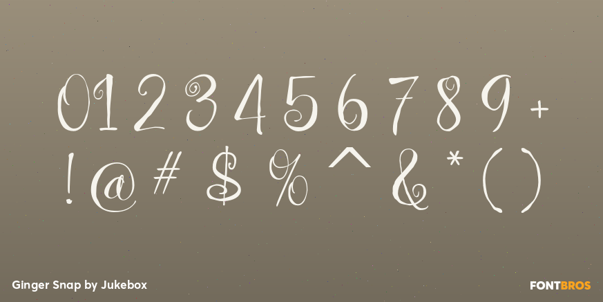 Ginger Snap Font Poster #1