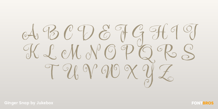 Ginger Snap Font Poster #1