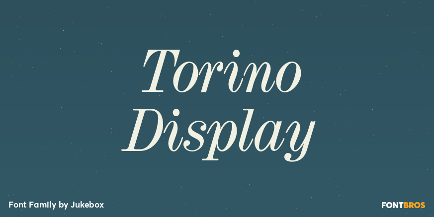 Torino Display Poster