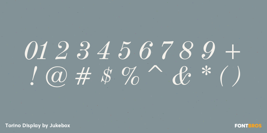 Torino Display Font Poster #4