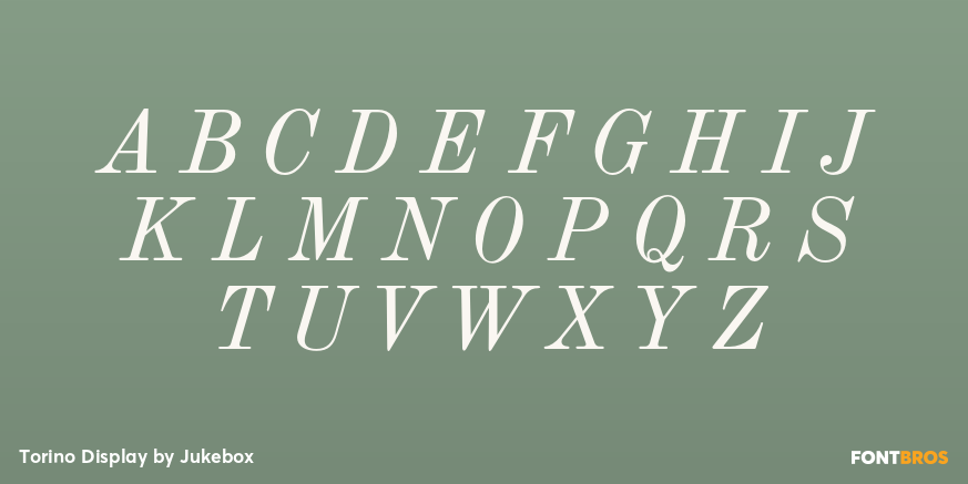 Torino Display Font Poster #2