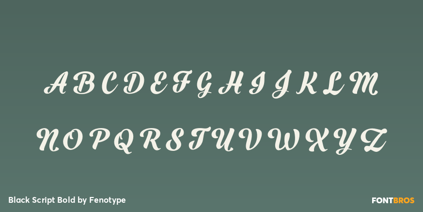 Black Script Bold Font Poster #2