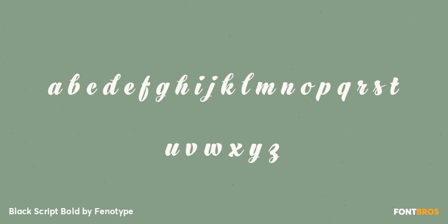 Black Script Bold Font Poster #3