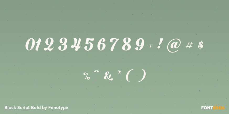 Black Script Bold Font Poster #4