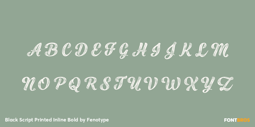 Black Script Printed Inline Bold Font Poster #2