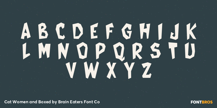 Cat Women and Boxed Font Poster #2