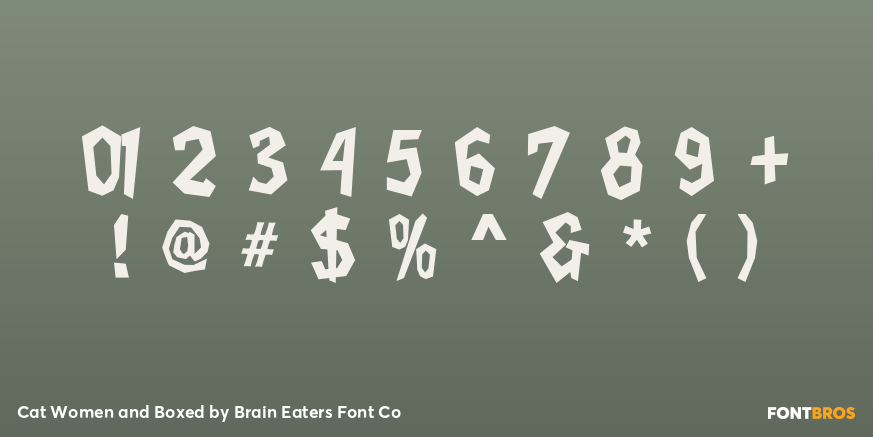 Cat Women and Boxed Font Poster #4