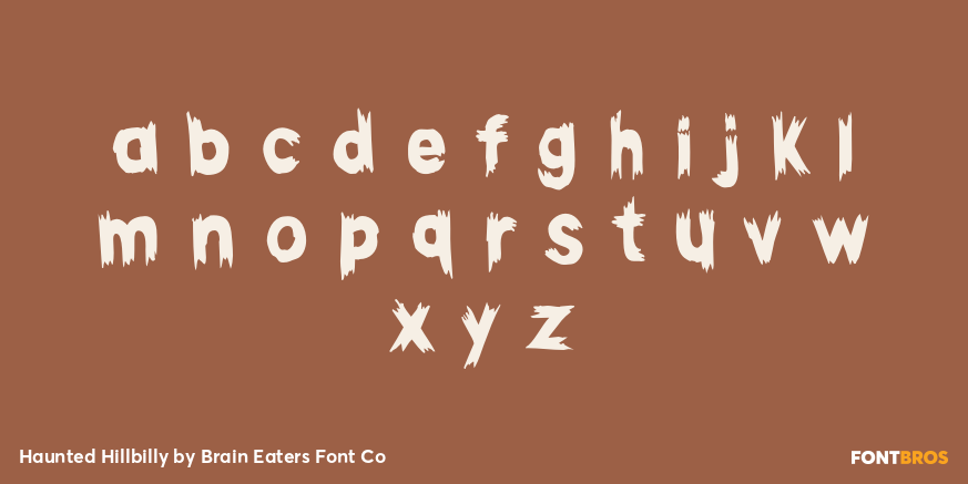 Haunted Hillbilly Font Poster #3