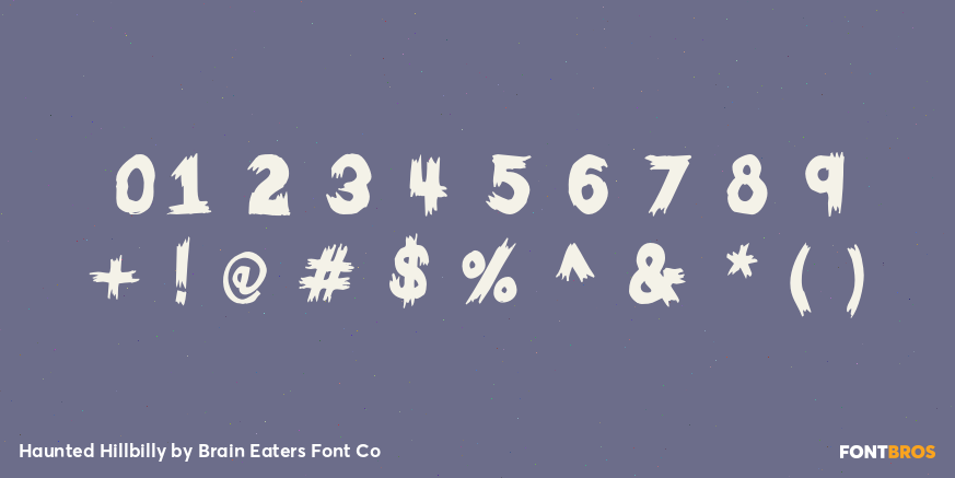 Haunted Hillbilly Font Poster #4