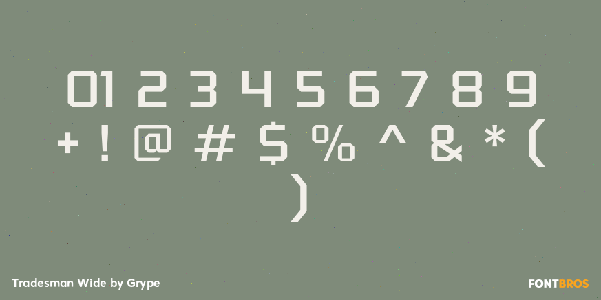 Tradesman Wide Font Poster #4