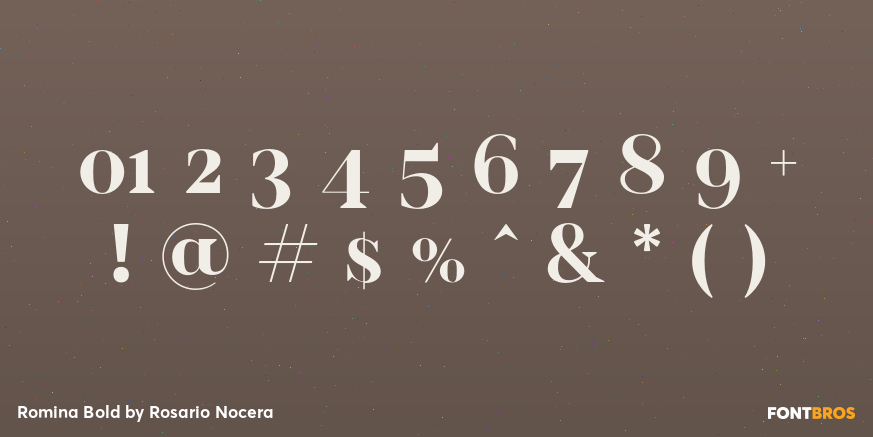 Romina Bold Font Poster #4