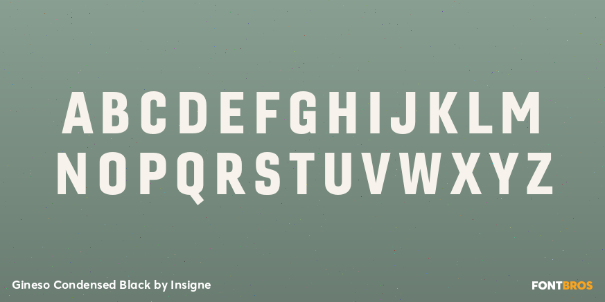 Gineso Condensed Black Font Poster #2