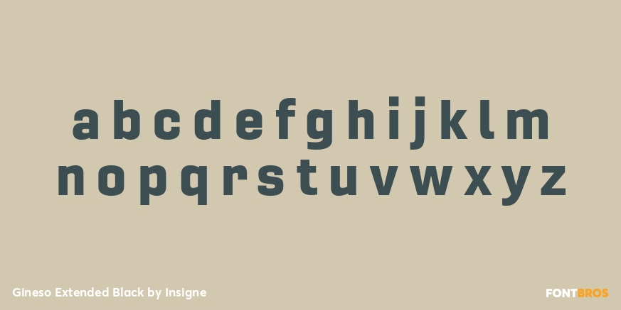 Gineso Extended Black Font Poster #3