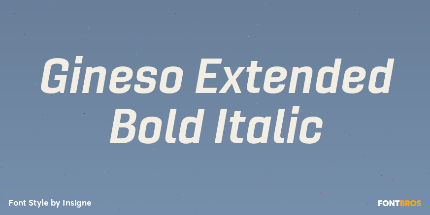 Gineso Extended Bold Italic Font Poster #1