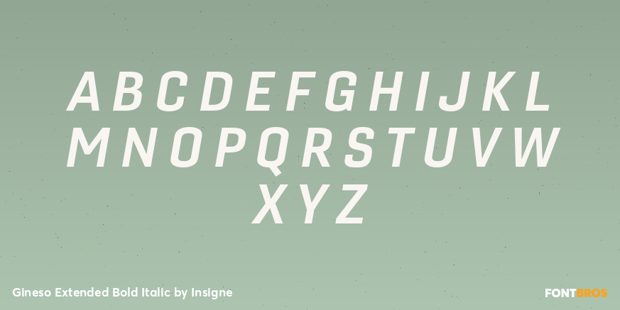 Gineso Extended Bold Italic Font Poster #1
