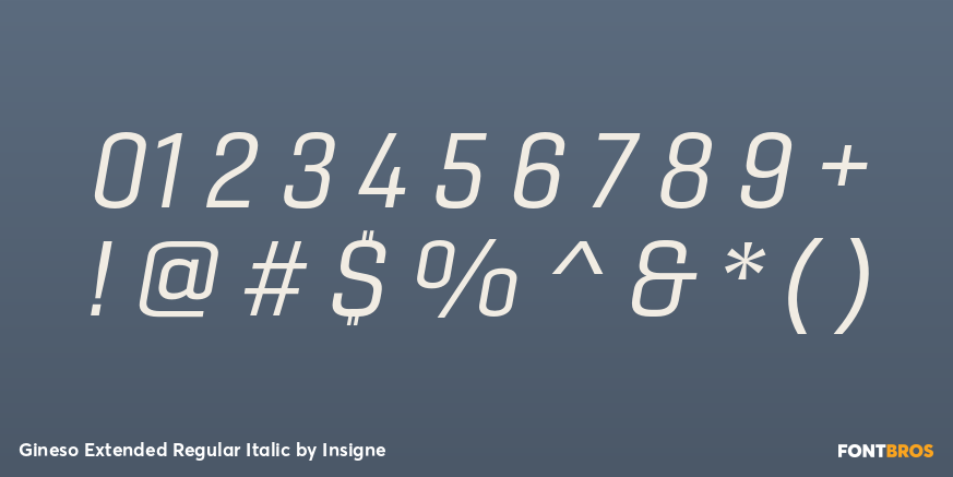 Gineso Extended Regular Italic Font Poster #1