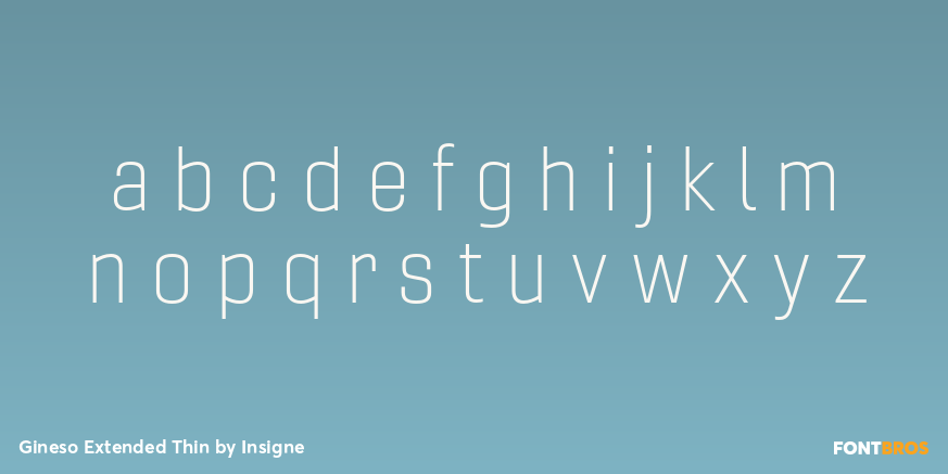 Gineso Extended Thin Font Poster #3