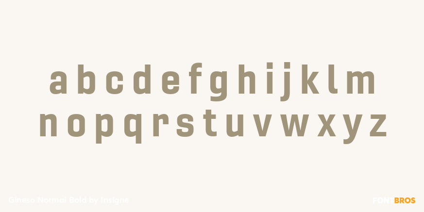 Gineso Normal Bold Font Poster #3