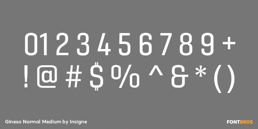 Gineso Normal Medium Font Poster #1