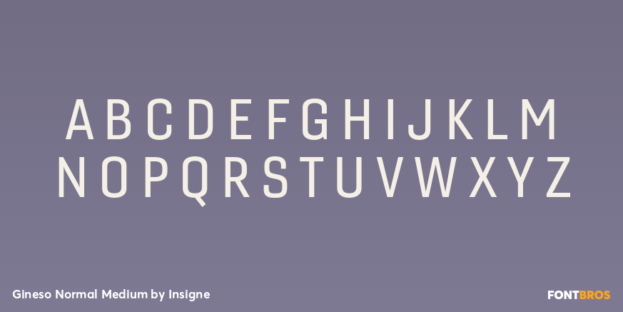 Gineso Normal Medium Font Poster #1