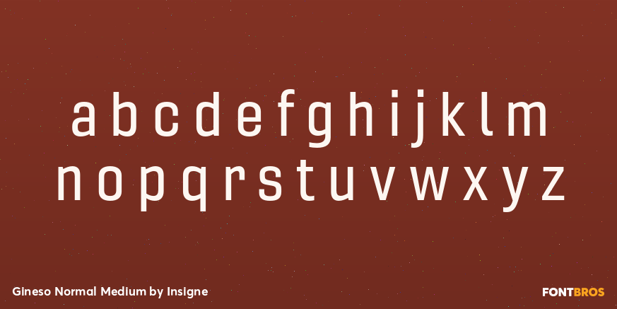 Gineso Normal Medium Font Poster #1