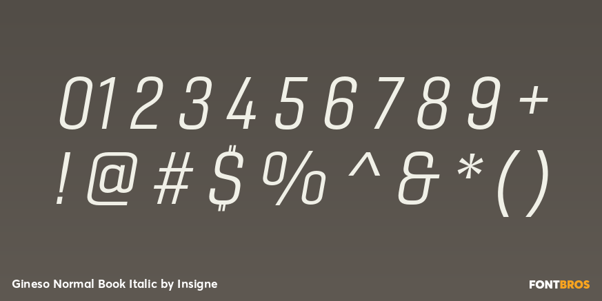 Gineso Normal Book Italic Font Poster #1