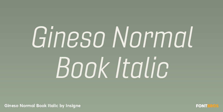 Gineso Normal Book Italic Font Poster #1