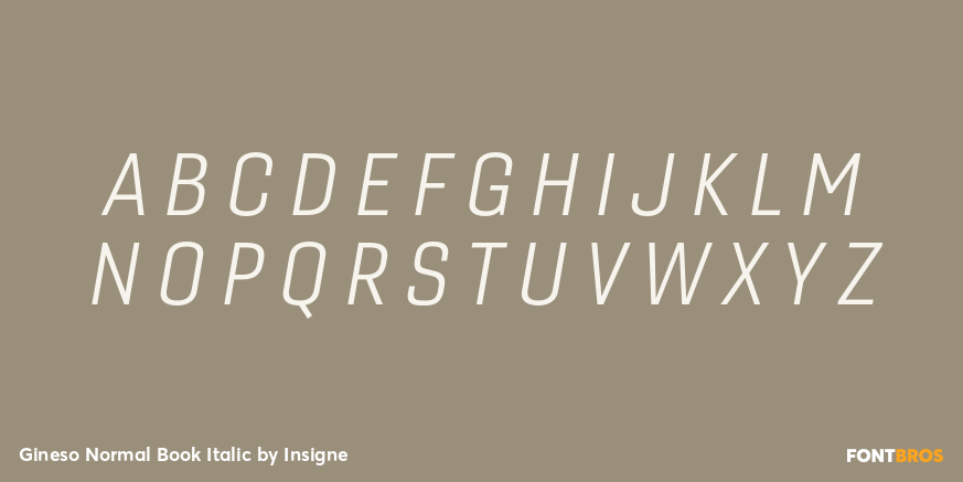 Gineso Normal Book Italic Font Poster #2